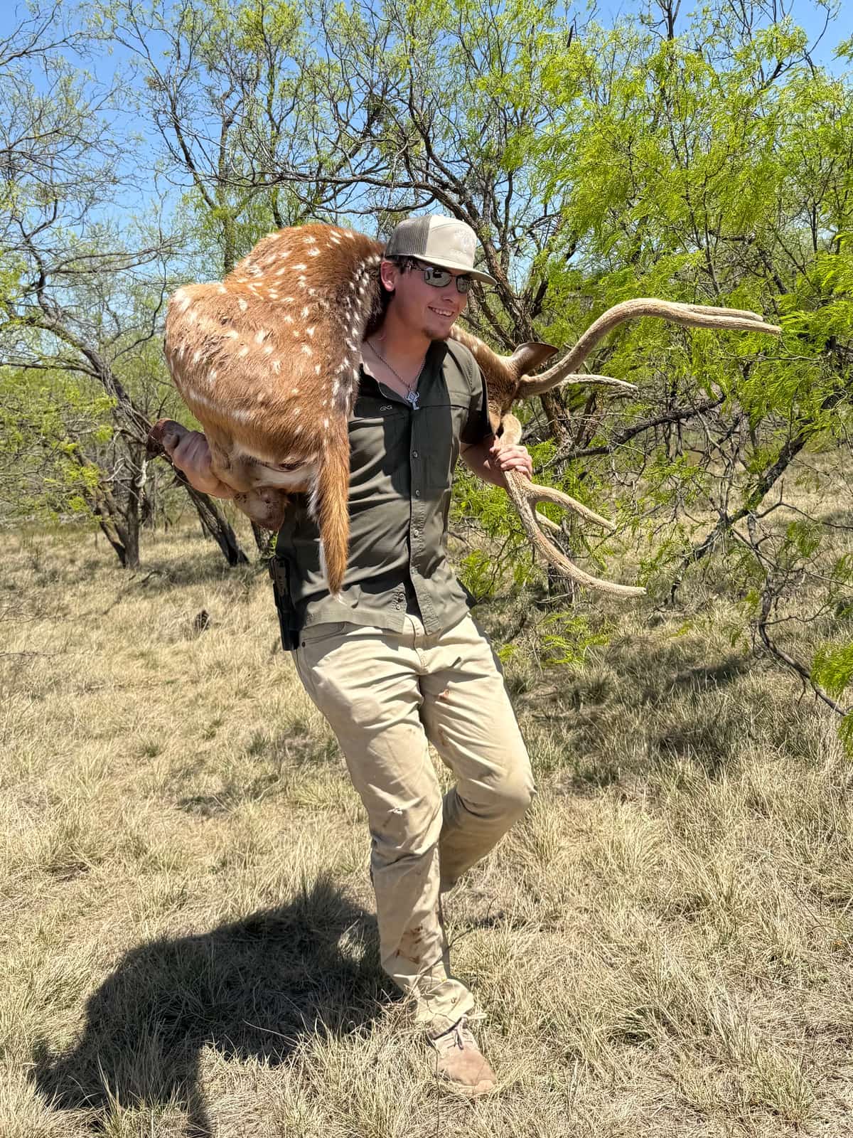 Hunter Rodgers, hunting guide at BarBell Ranch, carrying a harvested axis deer across the ranch